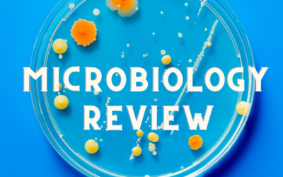 Path/Microb #5-Reproductive Pathology + Microbiology Review
