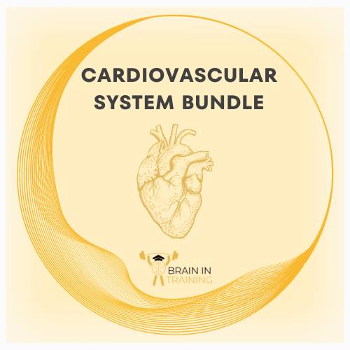 Cardiovascular System Bundle
