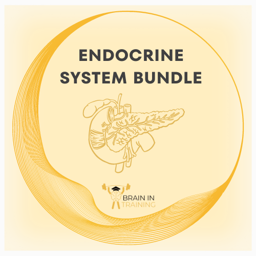 Endocrine System Bundle