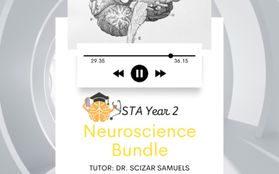 STA Y2 Neuroscience and Behaviour Bundle