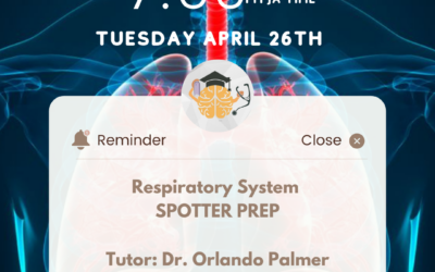 Respiratory System Spotter Prep