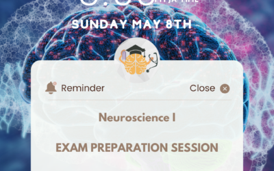 Neuroscience I Exam Prep