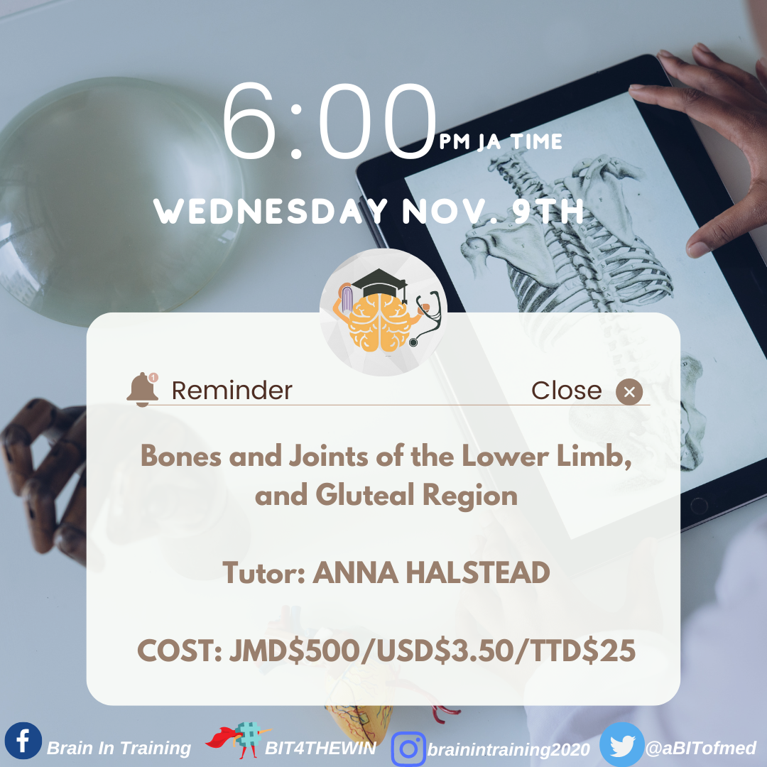 Lower Limb Review#2 with Anna