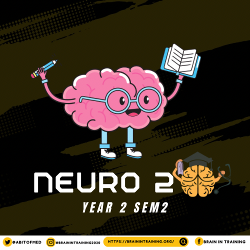 Neuroscience 2 Bundle