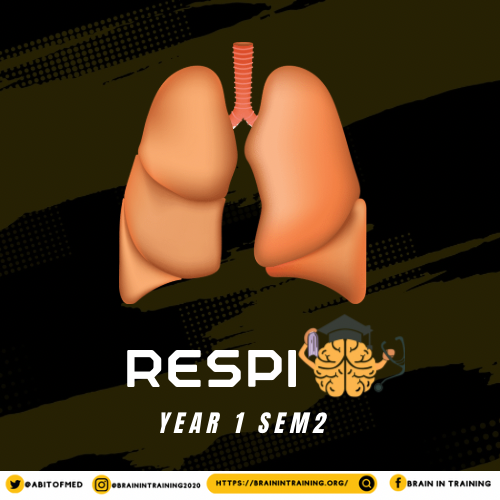 Respiratory System Bundle