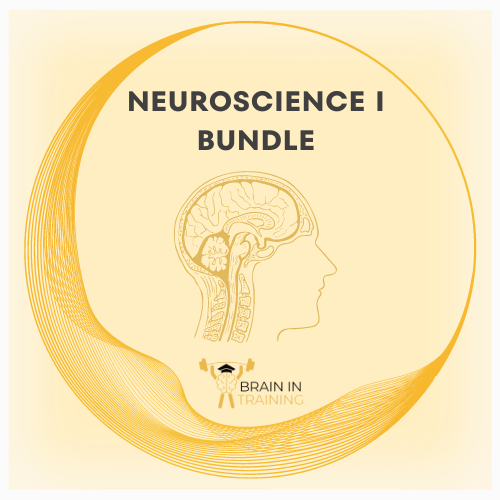 Neuroscience I Bundle: Neuroscience Physiology