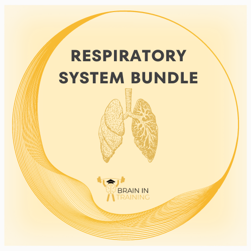 Respiratory System Bundle