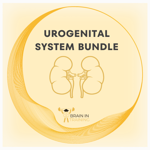 Urogenital System: Part 1 Bundle